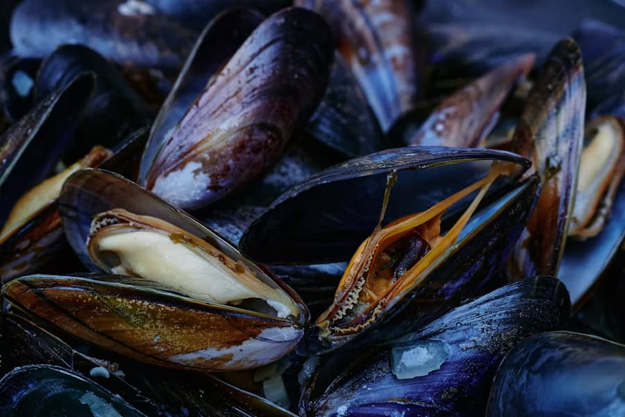 Moules maison — Brasserie Les Terrasses